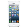Apple iPhone 5 16Gb white - Лысьва