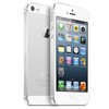 Apple iPhone 5 64Gb white - Лысьва